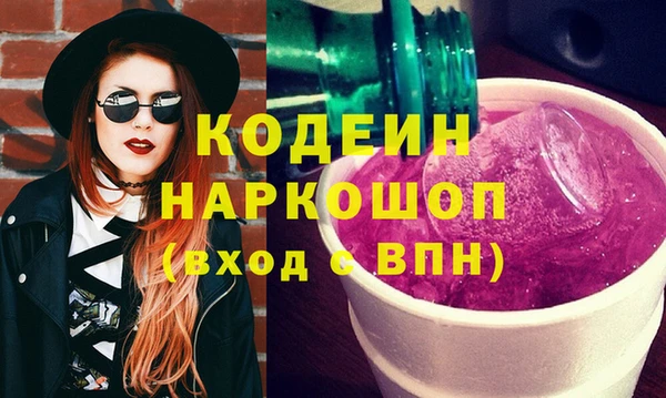PSILOCYBIN Алзамай
