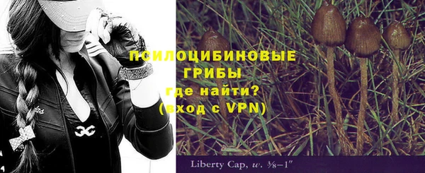 PSILOCYBIN Алзамай