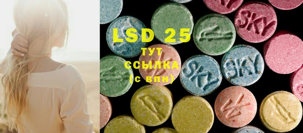 PSILOCYBIN Алзамай
