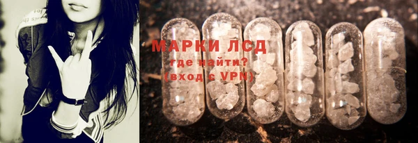PSILOCYBIN Алзамай