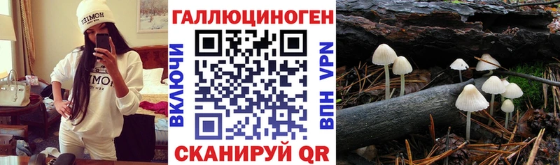 купить закладку  Апрелевка  Галлюциногенные грибы мицелий 